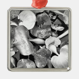 Ornement En Métal Plantes d'étang et noir et blanc