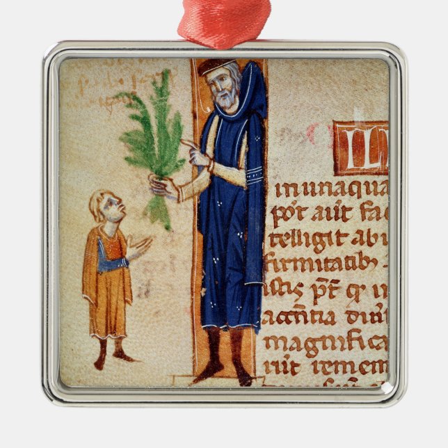 Ornement En Métal Plantes médicinales (Devant)