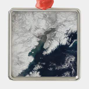 Ornement En Métal Plume de cendre de redoute de bâti, Alaska