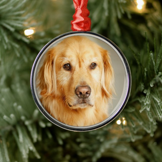 Ornement En Métal Portrait Golden Retriever (Arbre)
