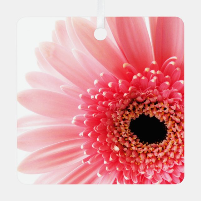 Ornement En Métal Poster Gerbera Daisy (Recto)