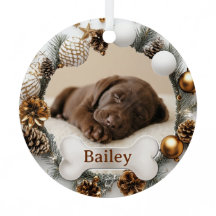 Premier Noël Chiot Mignon Chien Chat Photo