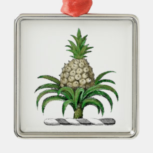 Ornement En Métal Preppy Heraldic Pineapple Coat of Arms Crest