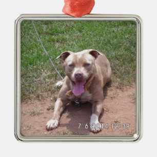 Ornement En Métal Produits de pitbull
