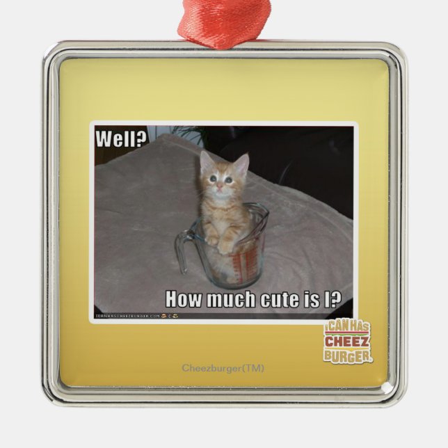 Ornement En Métal Puits ? (Devant)