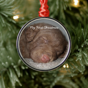Ornement En Métal Puppy My First Christmas Photo Ornamy