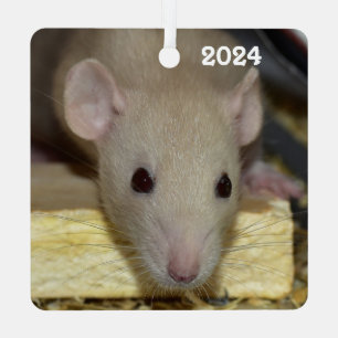 Ornement En Métal Rat de compagnie fantaisie Dumbo beige bronzé pers