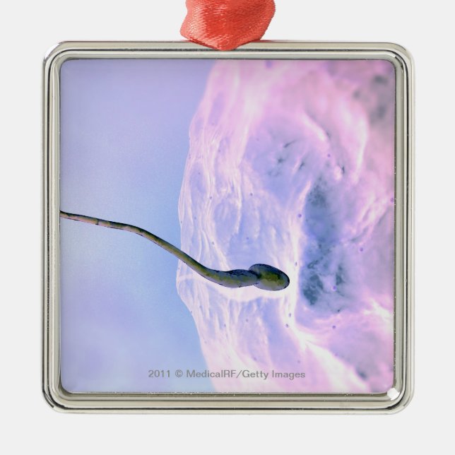 Ornement En Métal Regard magnifié à un sperme fertilisant un oeuf (Devant)