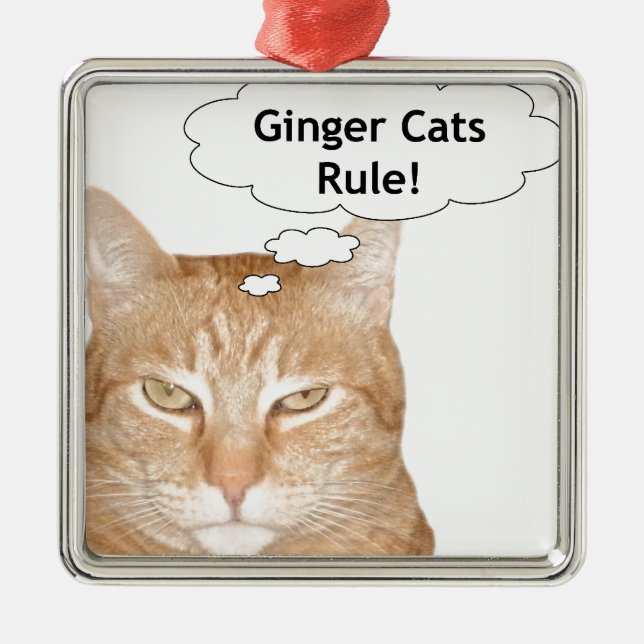 Ornement En Métal Règle de chats de gingembre (Devant)