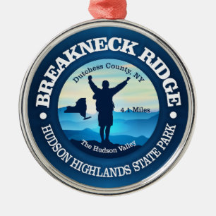 Ornement En Métal Ridge à col cassé (V)