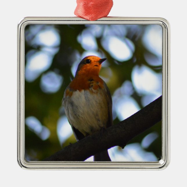 Ornement En Métal Robin (Devant)