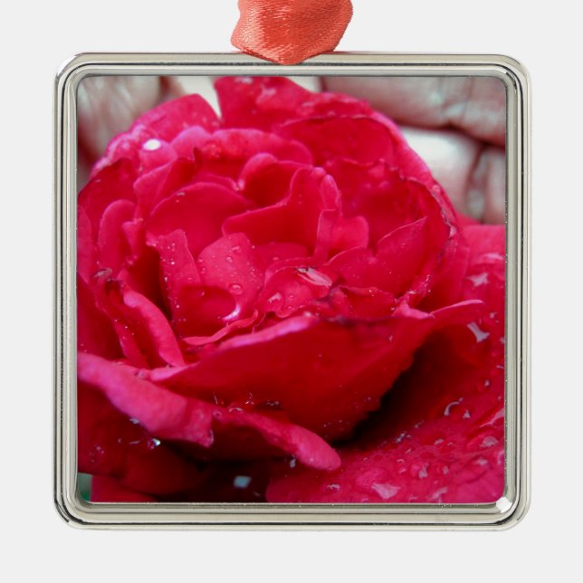 Ornement En Métal Rose rouge (Devant)