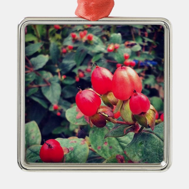 Ornement En Métal Rouge (Devant)