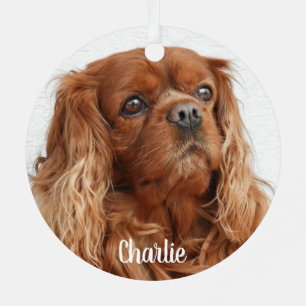 Ornement En Métal Ruby Cavalier King Charles Spaniel