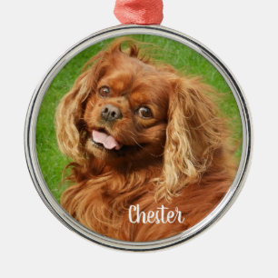 Ornement En Métal Ruby Cavalier King Charles Spaniel Chien