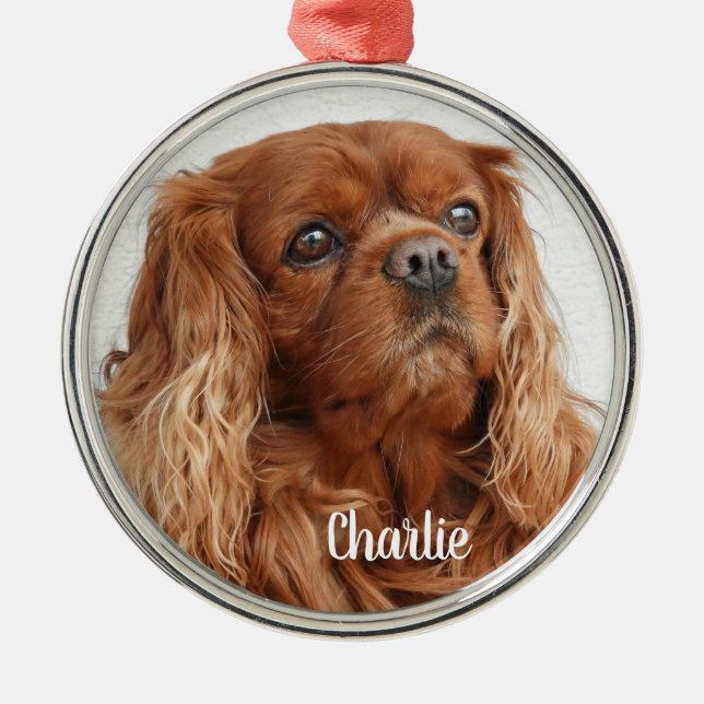 Ornement En Métal Ruby Cavalier King Charles Spaniel Chien Metal Orn (Devant)