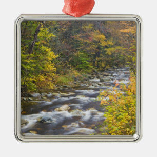 Ornement En Métal Ruisseau Rugissant en automne dans le Green 2 du V
