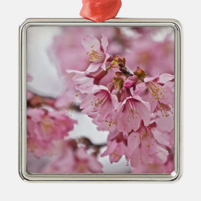 Ornement En Métal Sakura Cherry Blossoms rose pâle (Devant)