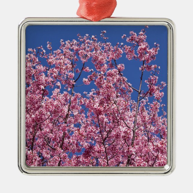 Ornement En Métal Sakura Cherry Fleurit Dans Le Bleu (Devant)