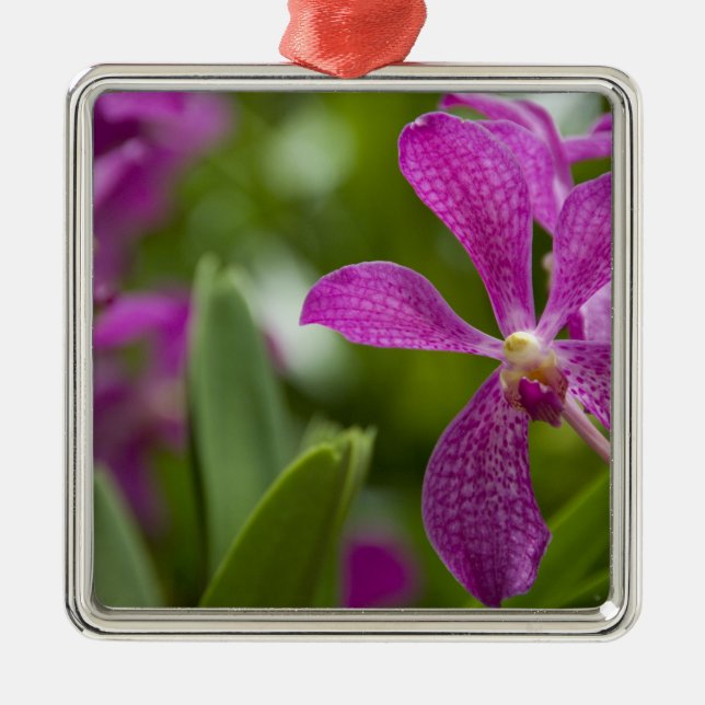 Ornement En Métal Sanskrit de Singapour pour Lion City). National (Devant)