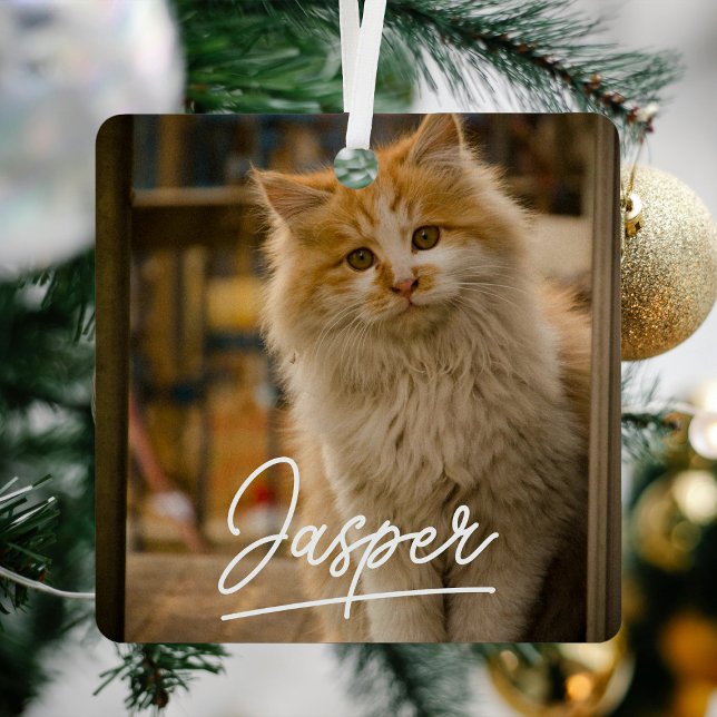 Ornement En Métal Script moderne Pet Photo Noël (Créateur téléchargé)