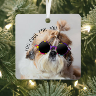 Ornement En Métal Shih Tzu Too Cool pour vous Lunettes de soleil Pho