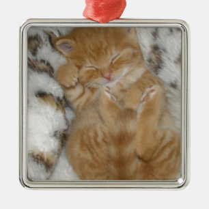 Ornement En Métal Super mignon Ginger Sleeping Kitten