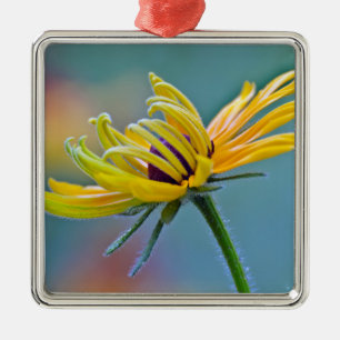 Ornement En Métal Susan Noir-eyed