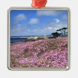 Ornement En Métal Tapis Pacifique de pourpre de verger