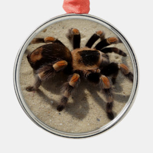 Ornement En Métal Tarantula brachypelma rouge genou toxique
