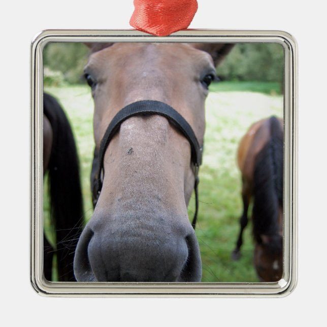 Ornement En Métal Tête de cheval (Devant)