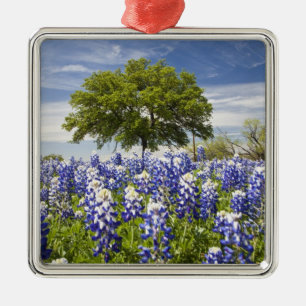 Ornement En Métal Texas bleuets(lupinus texensis) et chêne