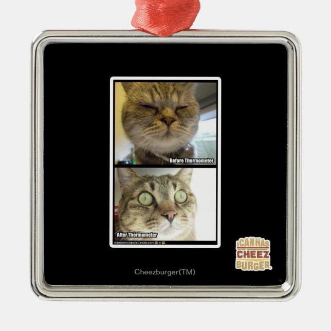 Ornement En Métal Thermomètre (Devant)