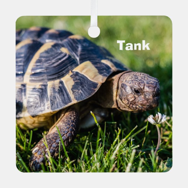 Ornement En Métal Tortue grecque dans l'herbe (Recto)