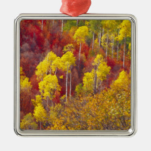 Ornement En Métal Trembles colorés dans Logan Canyon Utah en 2