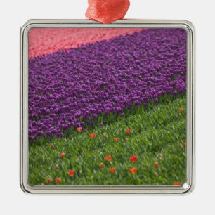 Ornement En Métal Tulipes dans les jardins de Keukenhof, Amsterdam,