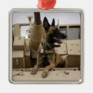Ornement En Métal Un chien d'utilité militaire se repose sur un M2A