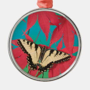 Ornement En Métal Un papillon swallowtail tigre canadien