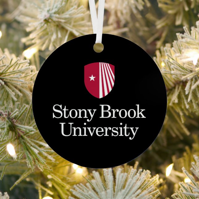 Ornement En Métal Université Stony Brook | Mot-symbole (Insitu)