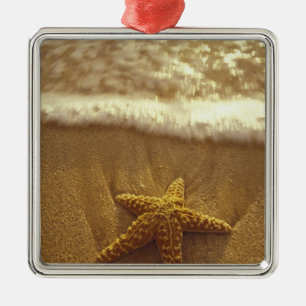 Ornement En Métal USA, Hawaii, Maui, Maui, Kihei, Starfish et