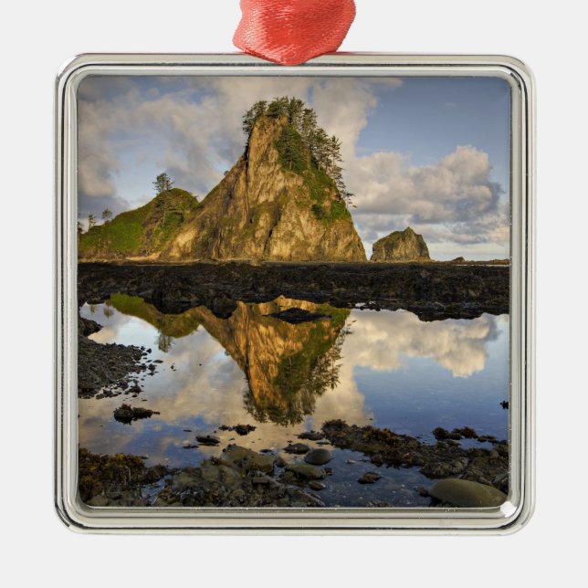 Ornement En Métal USA, Washington, Parc national olympique.A (Devant)