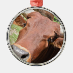 Ornement En Métal Vache Safari Brown
