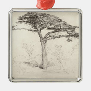 Ornement En Métal Vieil arbre de cèdre dans le jardin botanique,