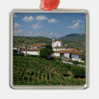 Vignobles, village de San Miguel, Douro