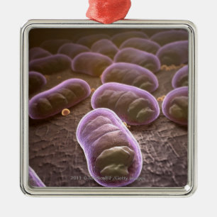 Ornement En Métal Vue microscopique des bactéries