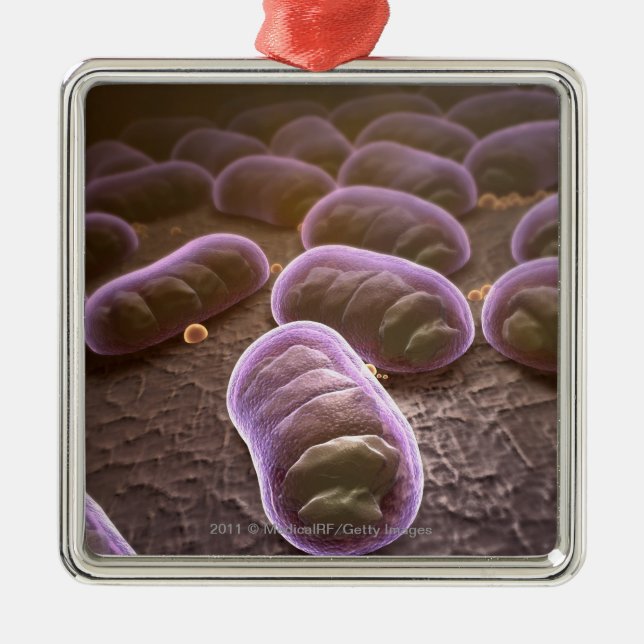 Ornement En Métal Vue microscopique des bactéries (Devant)
