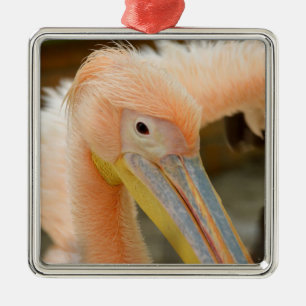 Ornement En Métal Watching You Pelican Ornament