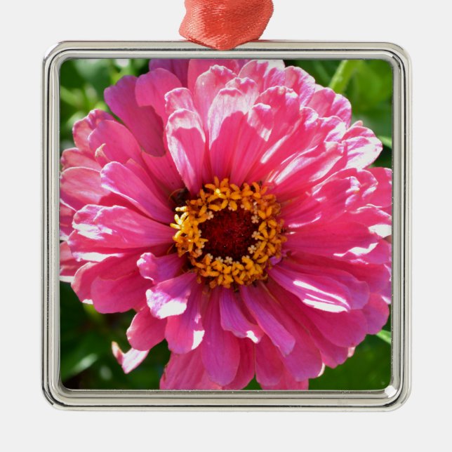 Ornement En Métal Zinnia rose (Devant)