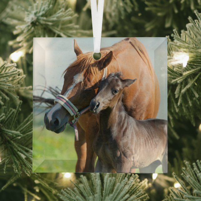 Ornement En Verre Animaux de bébés cutest | Black Foy avec maman (Insitu)