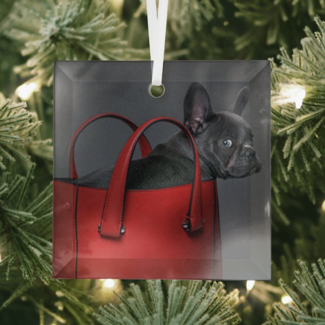 Ornement En Verre Animaux de bébés cutest | French Bulldog Red Hand  (Insitu)